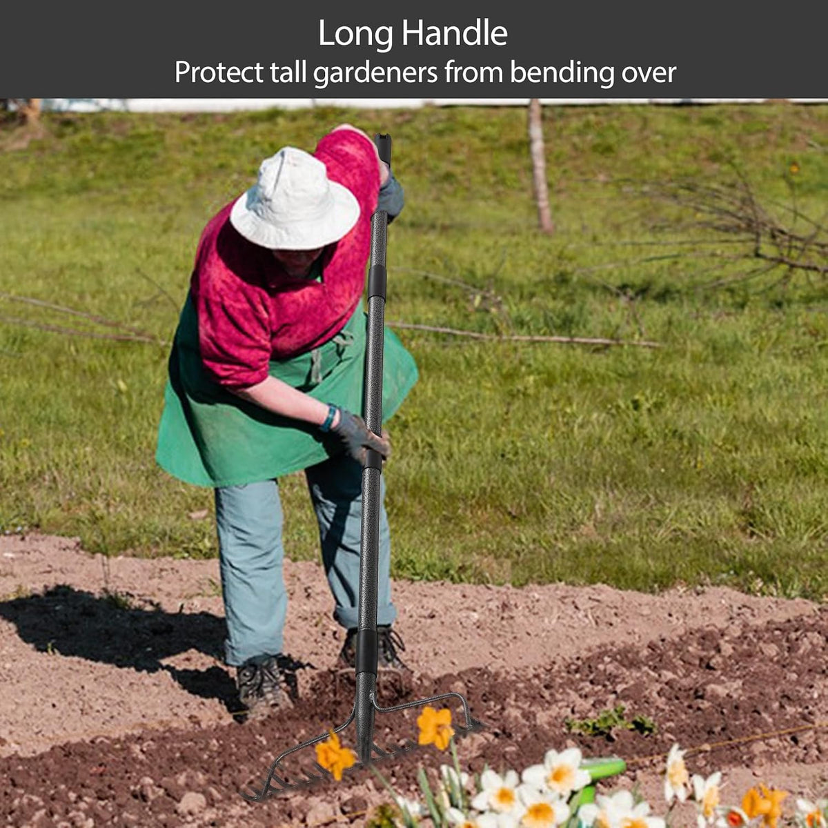 Bow Rake, 17 Prongs Leaf RakeThatch Rake for Lawn,63 Inch Long Handle Yard Rock Rake for Gardening,Detachable Heavy Duty Metal Garden Rake for Loosening Soil, Leveling Lawn, Leaves Cleaning