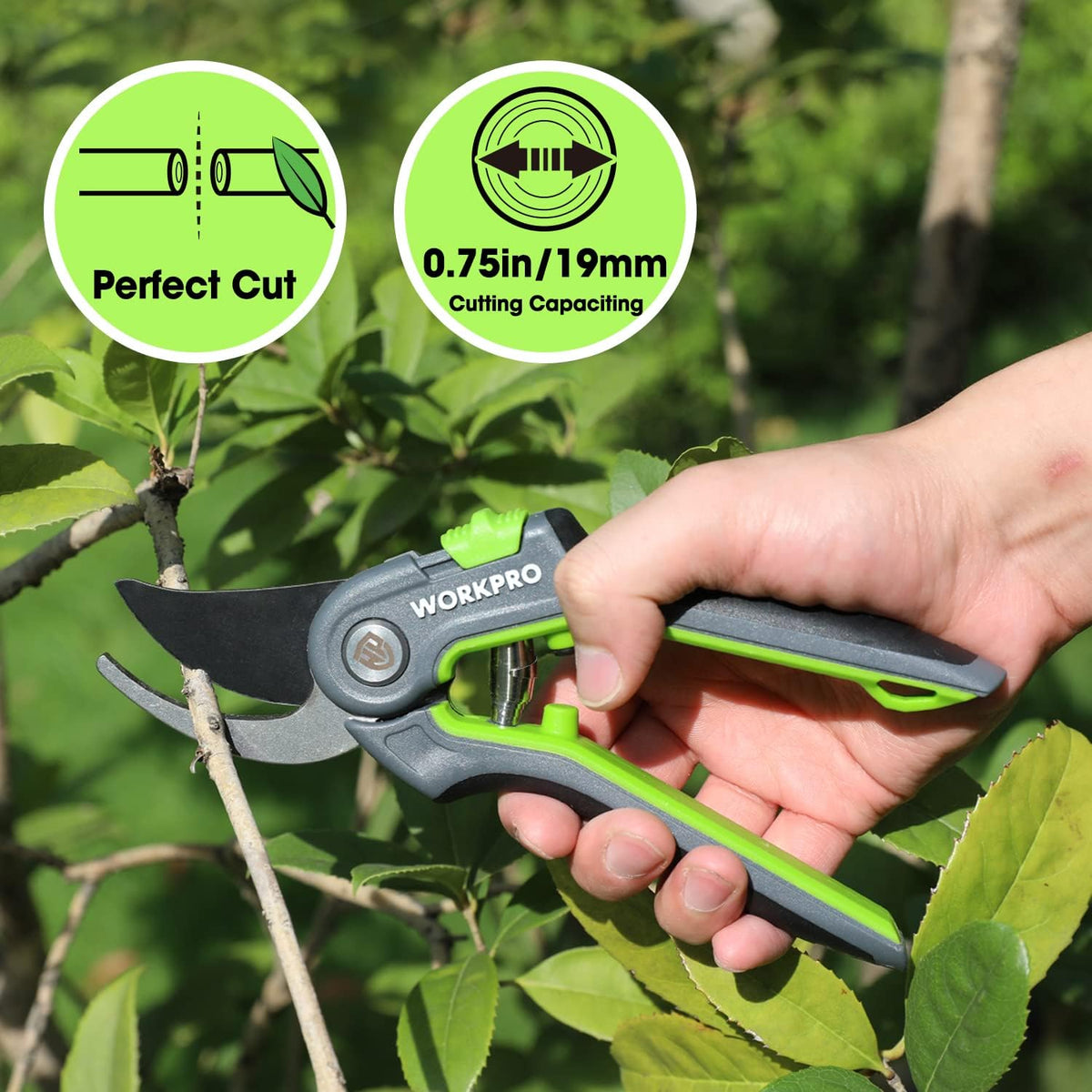 WORKPRO Pruning Shears, Garden Clippers with SK5 Steel Blades, 8" Bypass