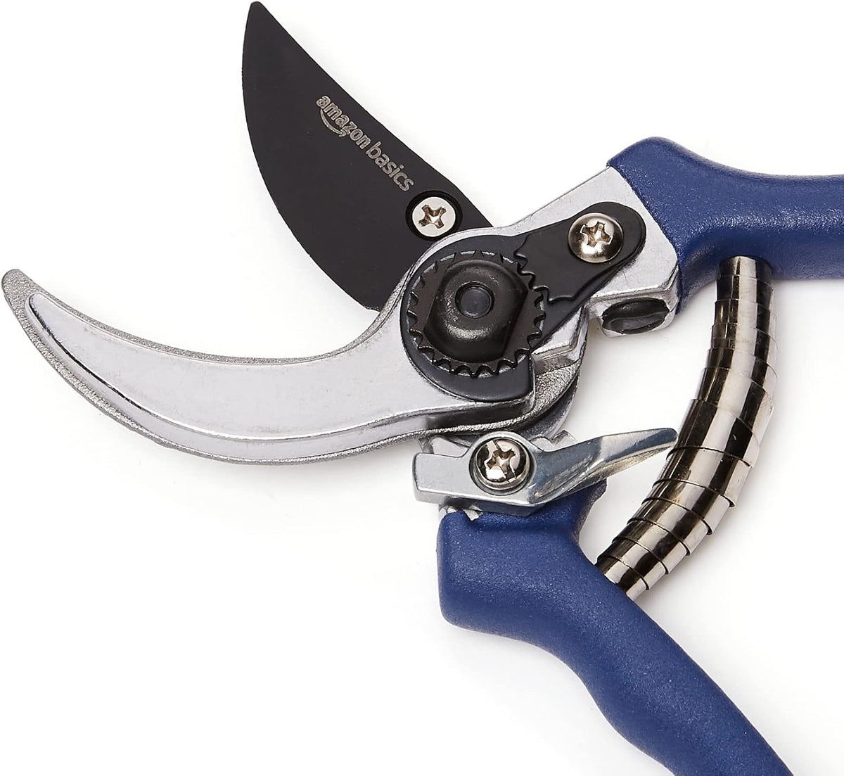 Amazon Basics Professional Bypass Pruning Shears, Garden Clippers, 8-inch Steel Hand Pruners, Rust Resistant with Ergonomic Non-Slip Grip for Trimming Plants and Cutting Flowers, Blue