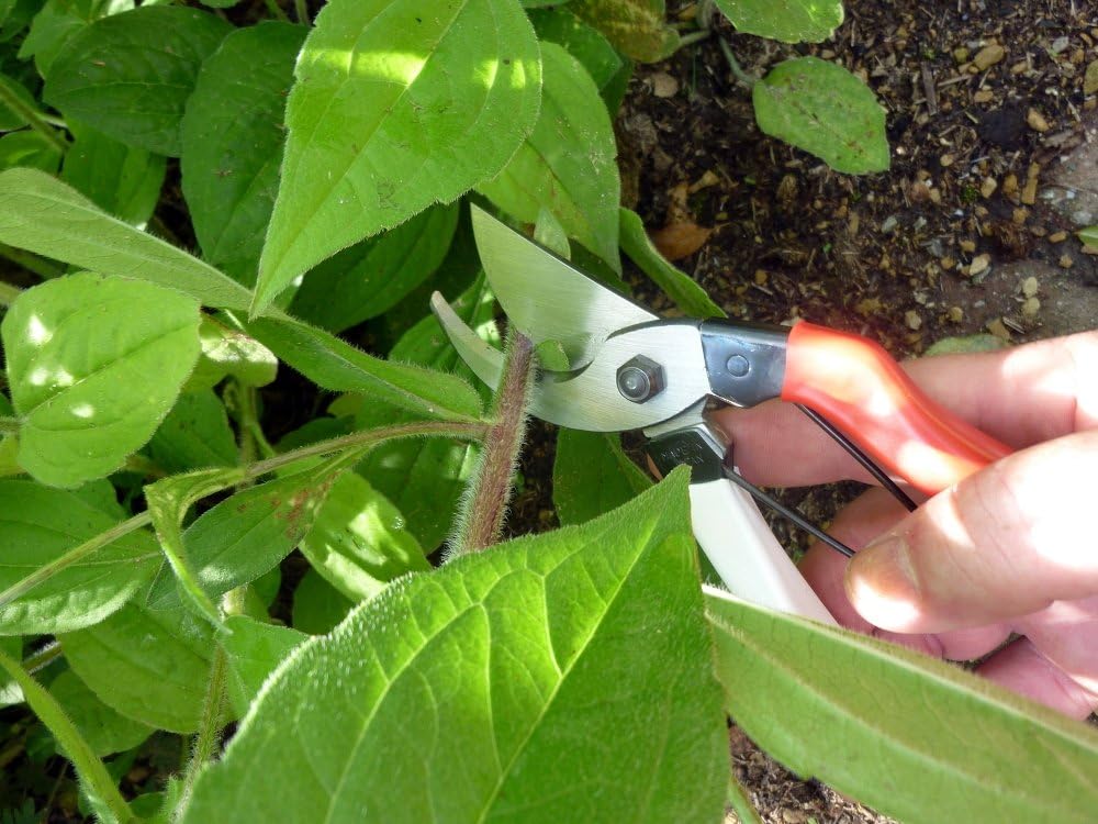 Okatsune Pruning Shears Unique 8.3 inches (210 mm) (Blister) No. 104