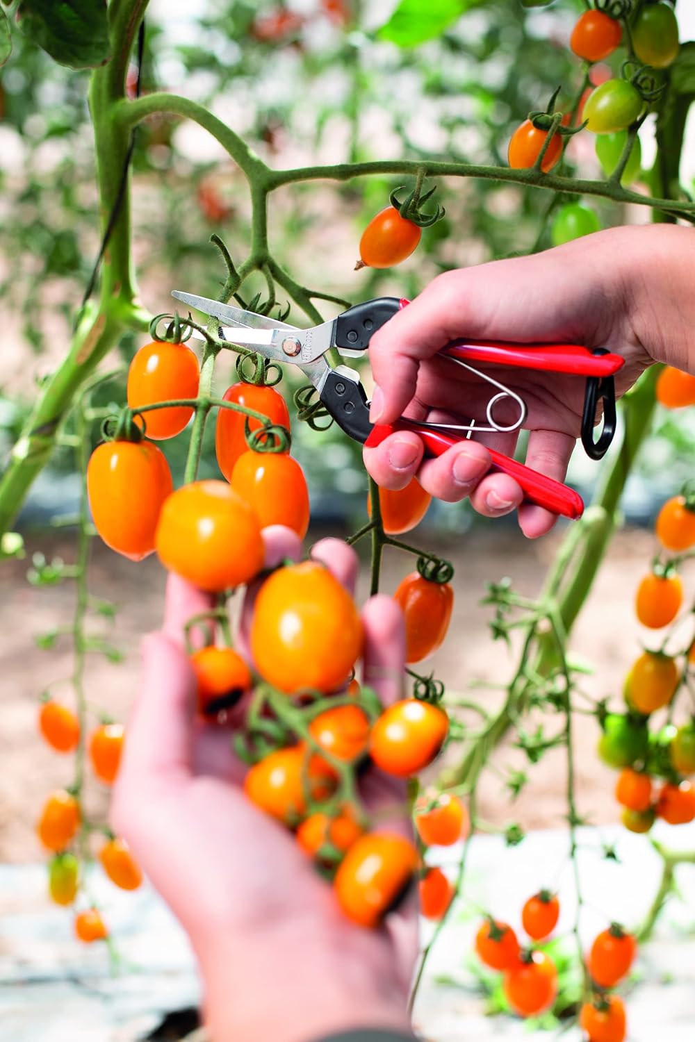 Felco F322 Pruning Snips – 9.84" Garden Clippers with Curved Blade & Rounded Tip | Pruning Shears for Gardening | Garden Snips and Pruners with Carbon Steel Blade, Sap Groove