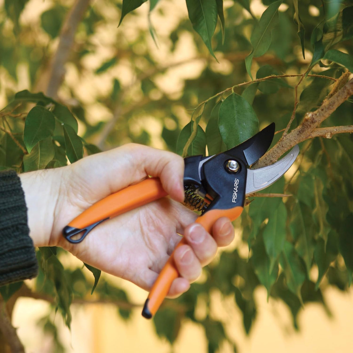 Fiskars SoftGrip Bypass Pruning Shears, 5/8” Cut Capacity Garden Clippers
