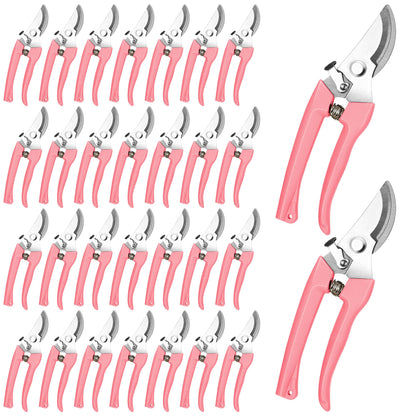 Chumia 30 Pack Garden Shears Flower Clippers for Plant Cutting, Beige