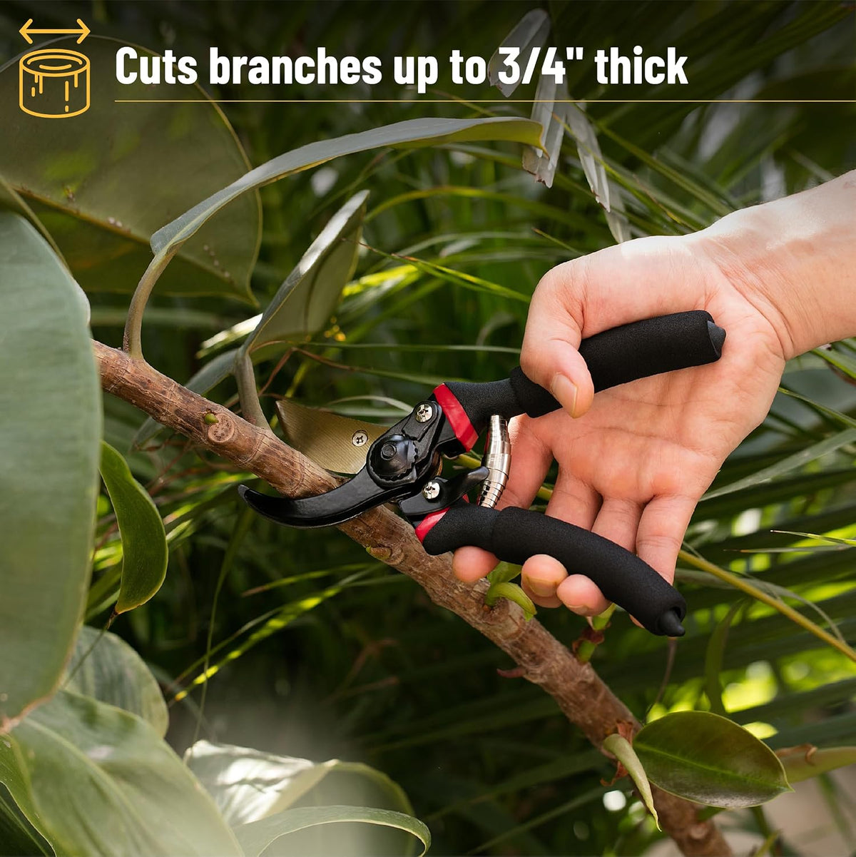 Mr. Pen- Pruning Shears, Garden Shears, 8" Professional, Titanium Blade